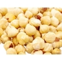 ORZECHY LASKOWE ŁUSKANE BLANSZOWANE TURCJA